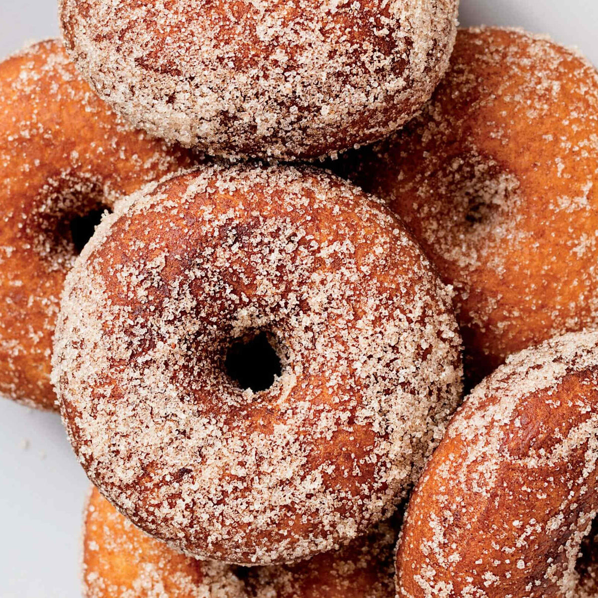 Temel Donutlar