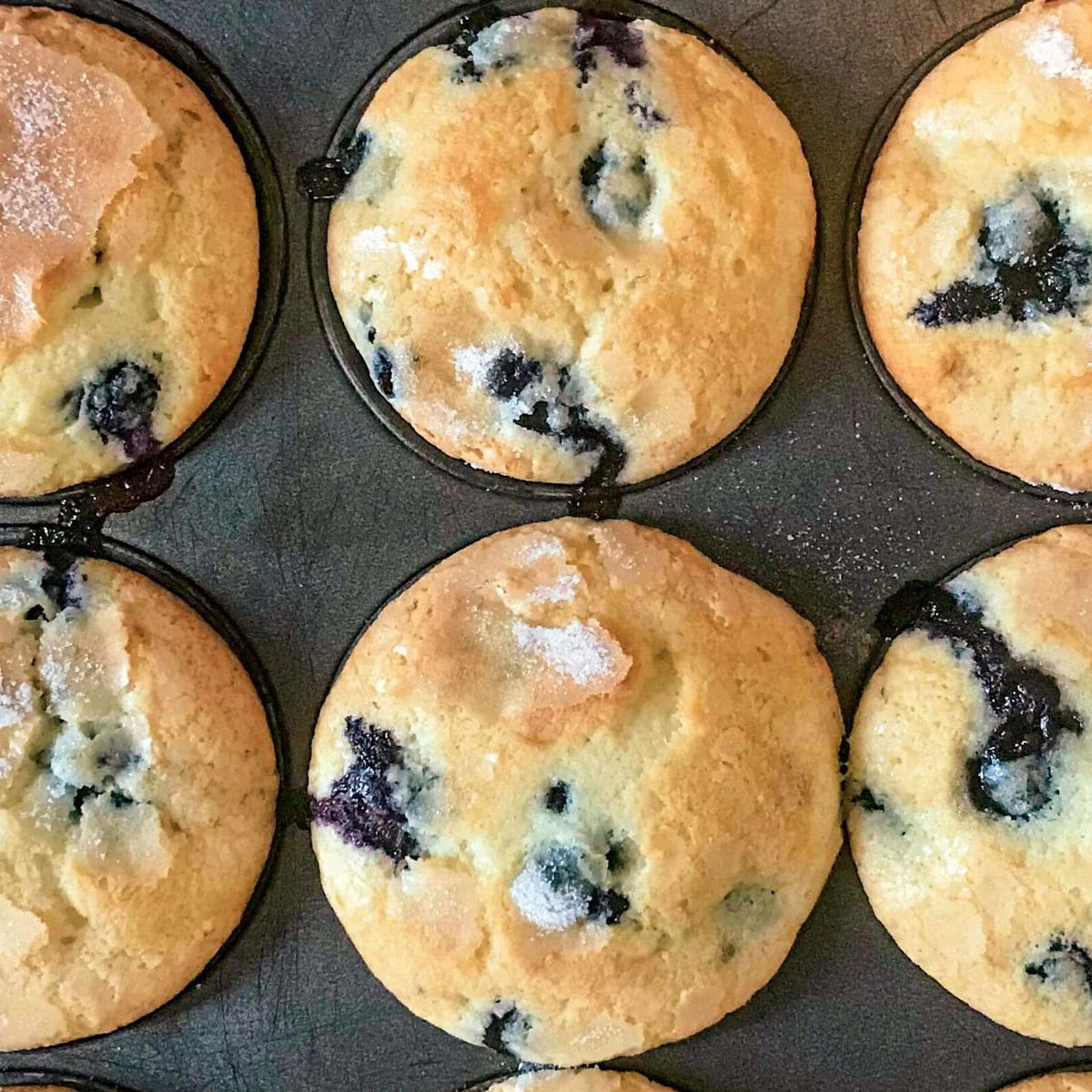 Yaban Mersinli Muffin