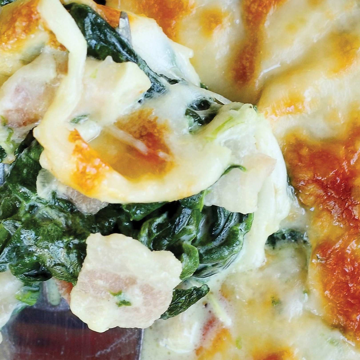 Kremalı Ispanak Gratin