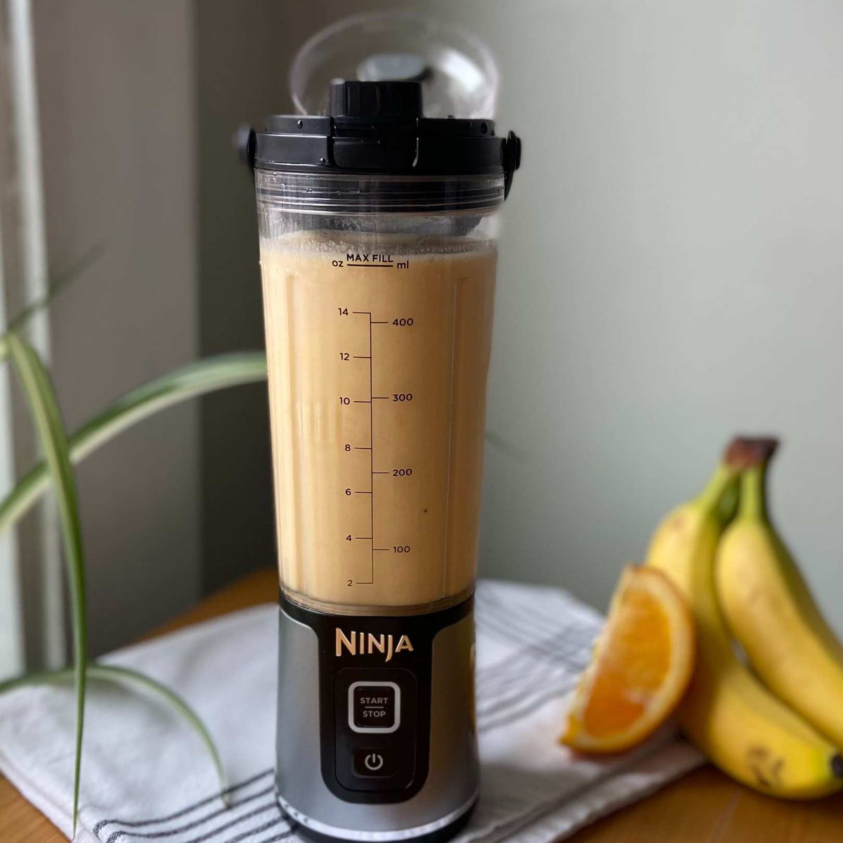 Kremsi Muz Portakal Protein Shake