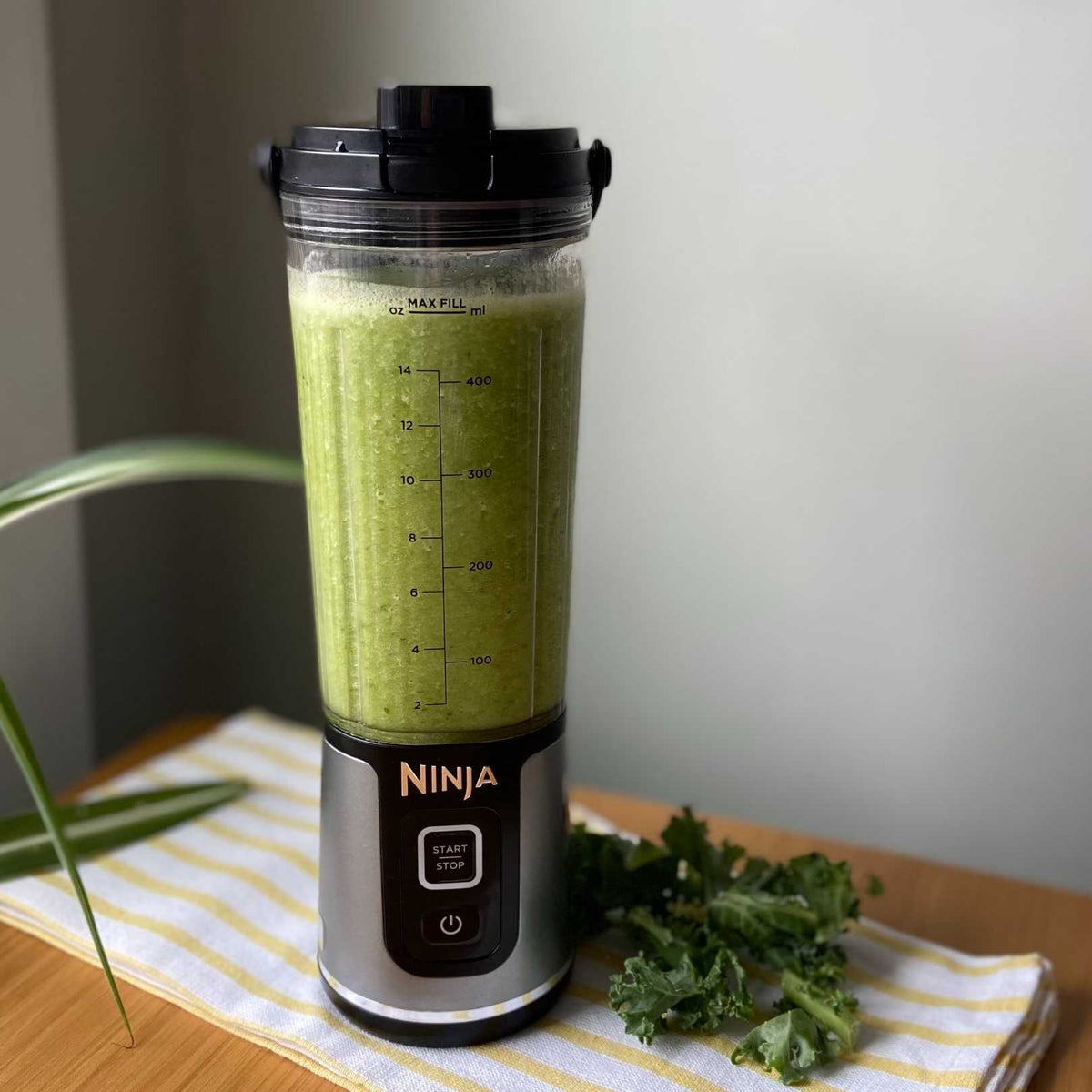 Yağsız Yeşil Smoothie