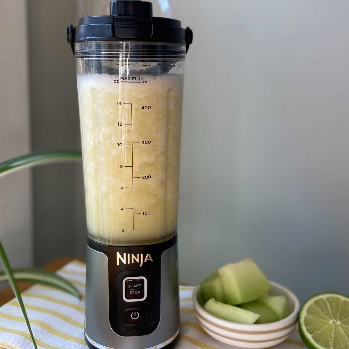 Tropikal Chill Smoothie