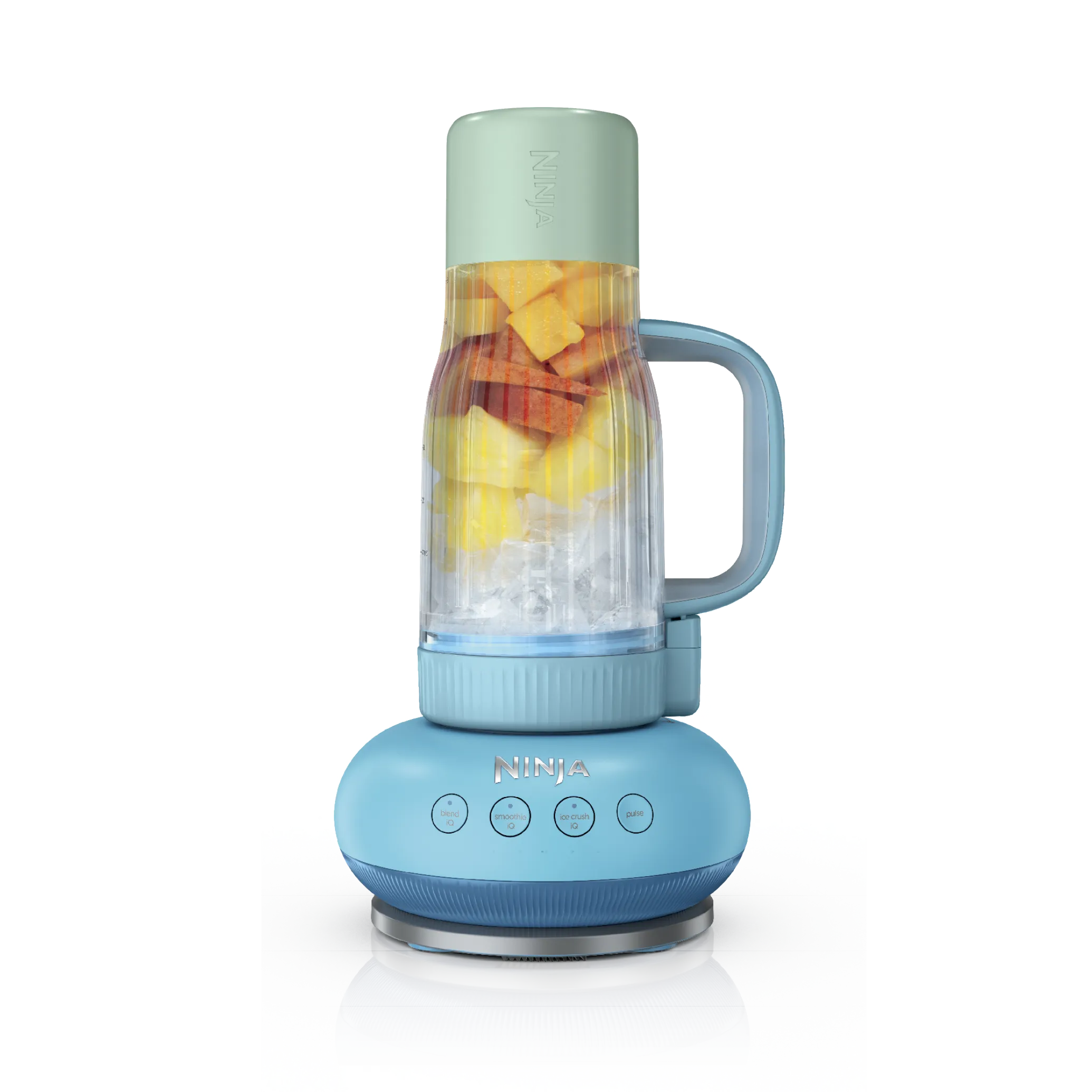 Ninja BlendBOSS Tumbler Blender - Blue Raspberry